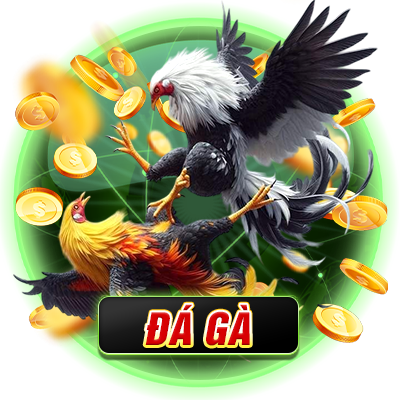 ĐÁ GÀ E2BET