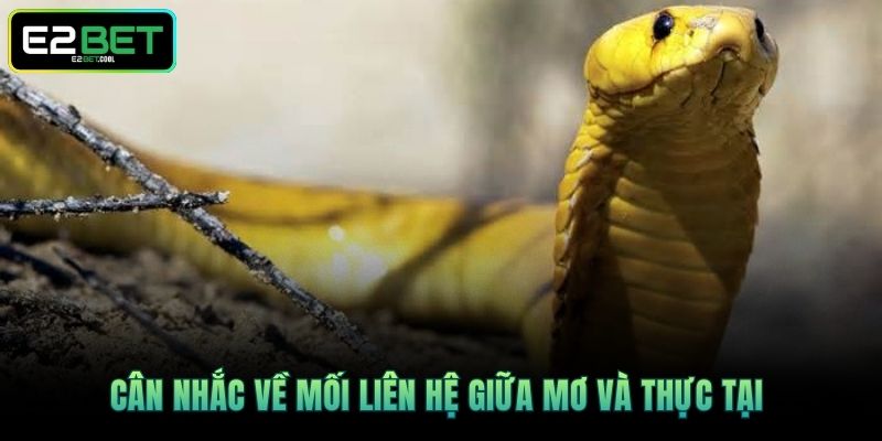 Mơ Thấy Rắn - Ý Nghĩa Tâm Linh Ẩn Giấu Đằng Sau Cùng E2BET 4 Cân nhắc về mối liên hệ giữa mơ và thực tại