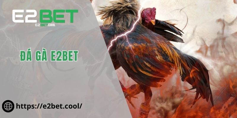 Đá Gà E2BET