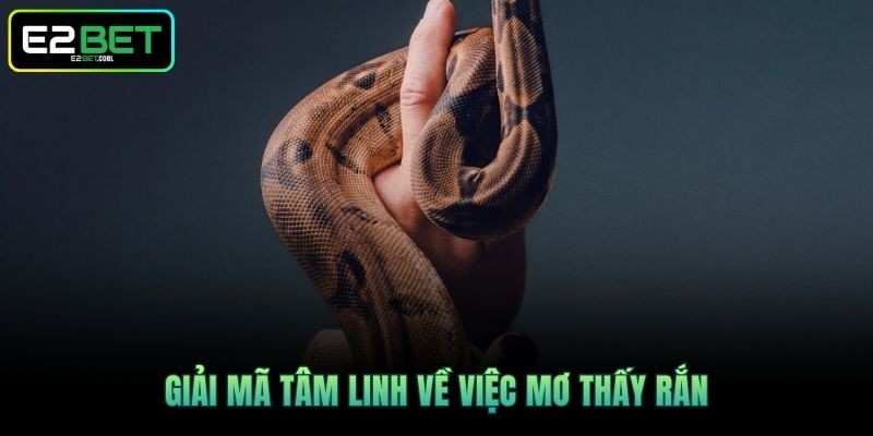Mơ Thấy Rắn - Ý Nghĩa Tâm Linh Ẩn Giấu Đằng Sau Cùng E2BET 2 Giải mã tâm linh về việc mơ thấy rắn