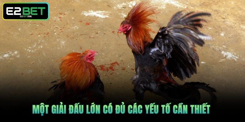 Giải Đá Gà Lớn Nhất - Cùng Tìm Hiểu Về Mô Hình Chuẩn Tại E2BET 4 Một giải đấu lớn có đủ các yếu tố cần thiết