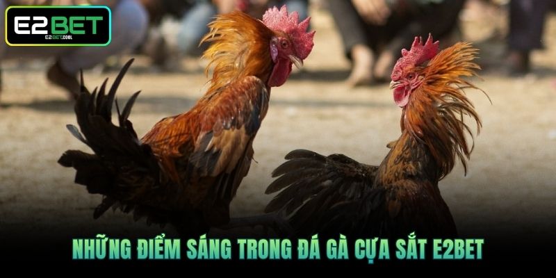 Những điểm sáng trong Đá gà cựa sắt E2BET