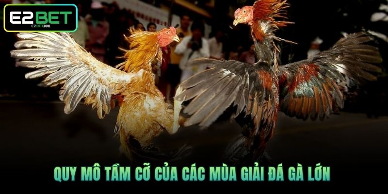 Giải Đá Gà Lớn Nhất - Cùng Tìm Hiểu Về Mô Hình Chuẩn Tại E2BET 3 Quy mô tầm cỡ của các mùa giải đá gà lớn